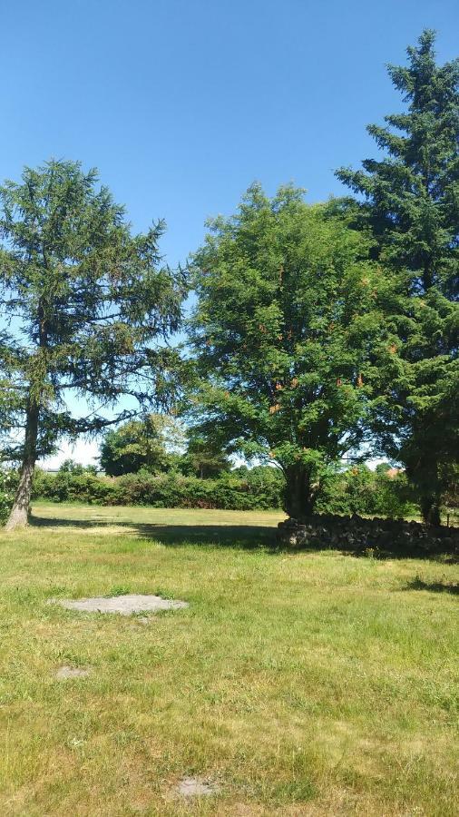 Urlaub Bei Hauenstein Lägenhet Born Exteriör bild