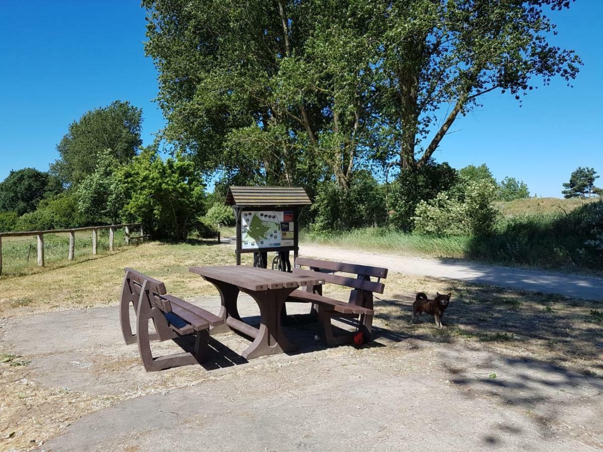 Urlaub Bei Hauenstein Lägenhet Born Exteriör bild
