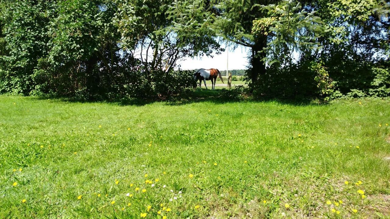 Urlaub Bei Hauenstein Lägenhet Born Exteriör bild