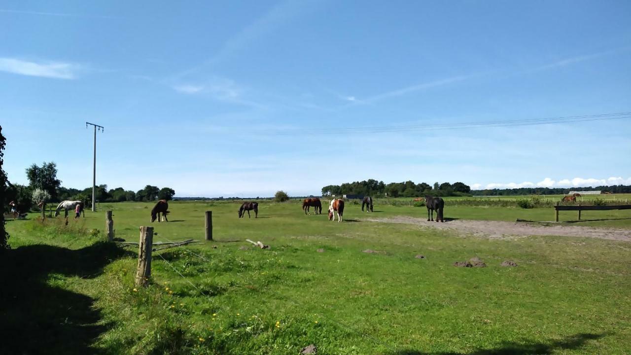 Urlaub Bei Hauenstein Lägenhet Born Exteriör bild